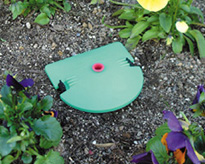 ナメクジ防除サービス