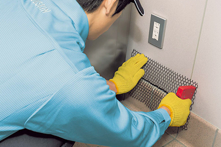 ネズミ駆除サービス