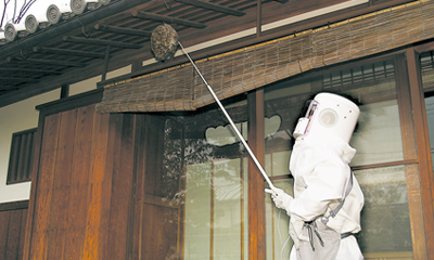 ハチ駆除サービス