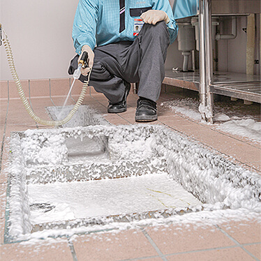 チョウバエ駆除サービス